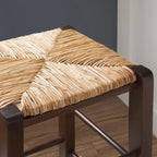 Backless Bar Stools (Set of 2)